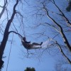 BLOG2