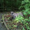 Photo 1 (1)